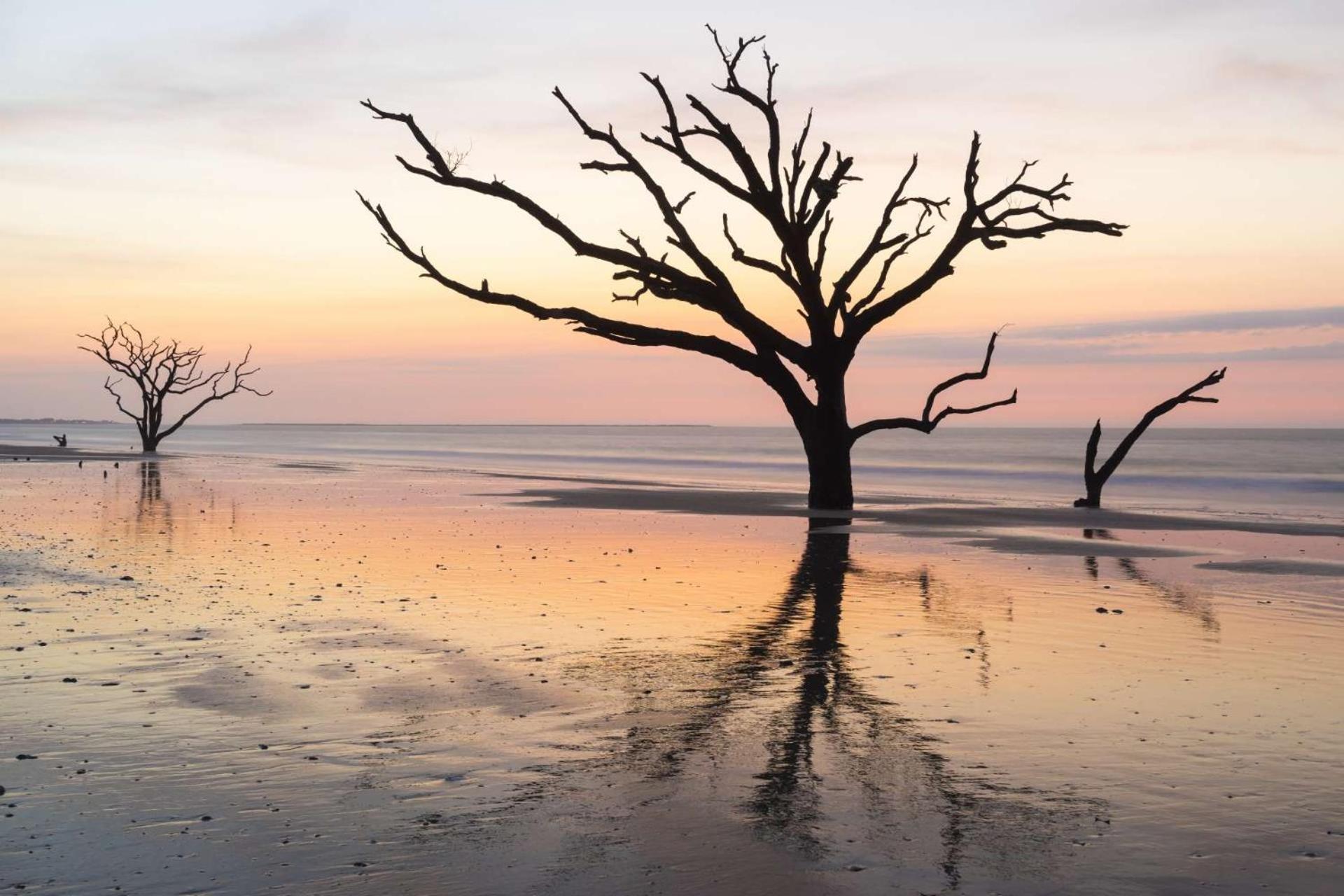 The Blue Pearl Villa Kiawah Island Bagian luar foto